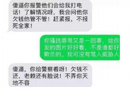 林芝专业催债公司的市场需求和前景分析